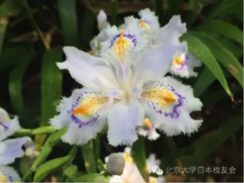 17_meitu_24