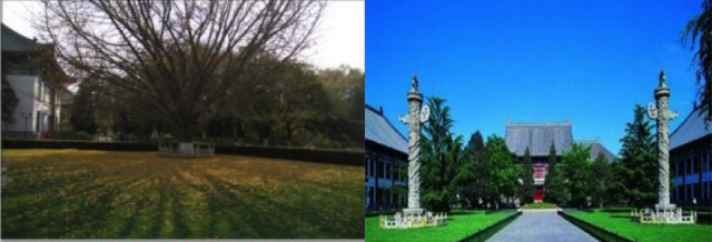 90年代的燕园和现在土地硬化程度不同