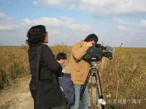 大丰的芦苇荡，麋鹿野外放归的地方，再向前是大海