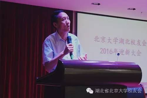 北京大学湖北校友会副会长吴淮平讲话