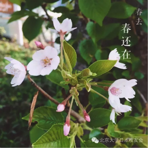 5_meitu_14