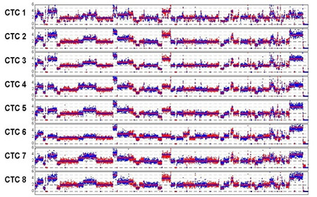 同一个病人的不同CTC都展现出高度一致的全基因组拷贝数变化模式