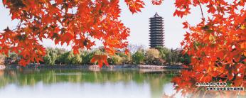微信图片_20171018175617