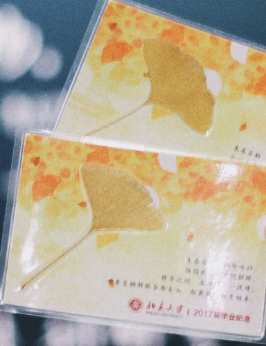 2017届毕业纪念明信片