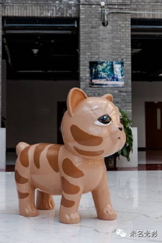 北大“听课猫”