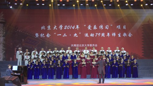 教授合唱团 You Raise Me Up