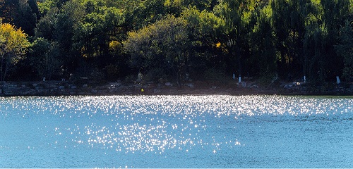 阳光洒在湖面上