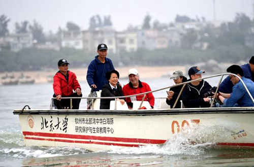 在广西钦州市三娘湾海域，潘文石（左四）乘船出海观察白海豚活动情况（3月19日摄）。陆波岸 摄