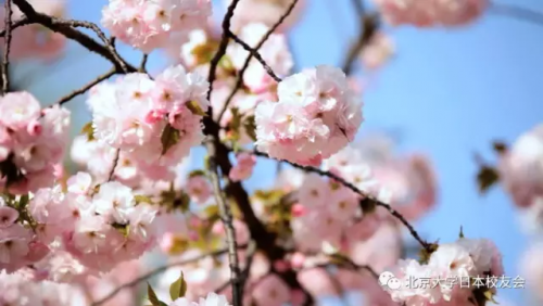 filehelper_1490835866179_78