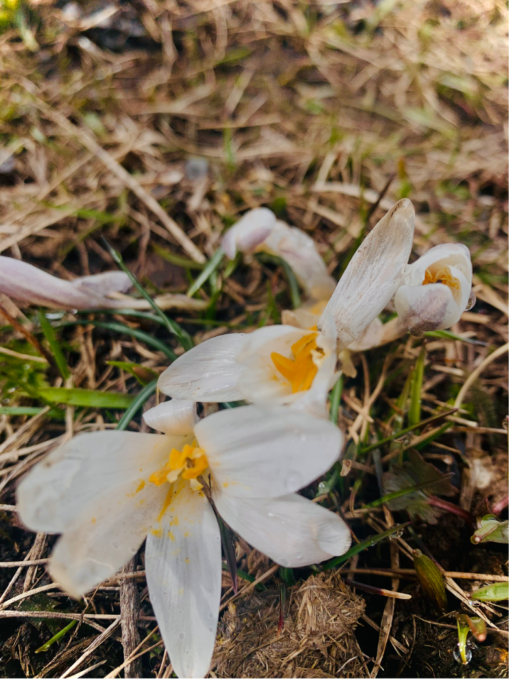 2021-04-11 22:11:24.242000