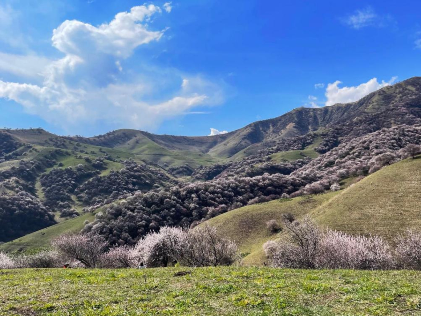 微信图片_20210412110800