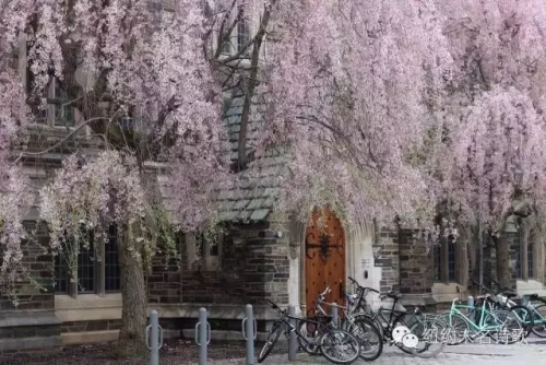 filehelper_1462959938546_73