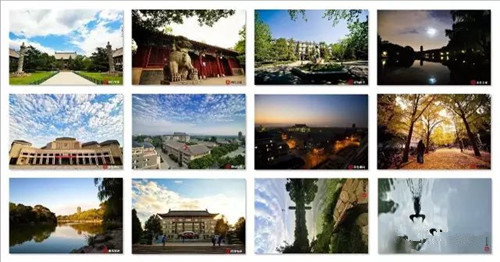 864191785438919933_副本