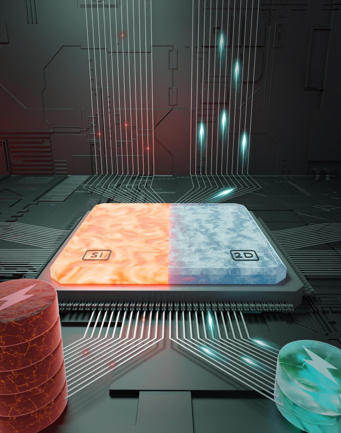 image5.jpeg image5.jpeg