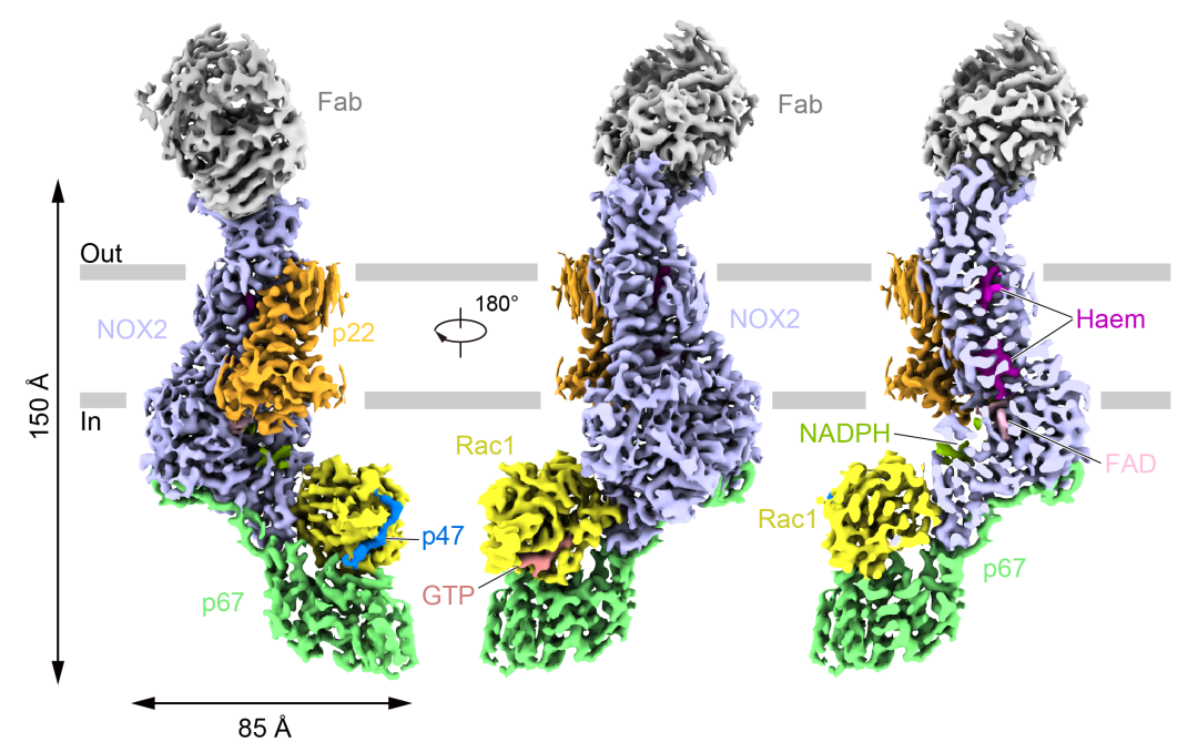 69d44cb0252f40d9be4031e2ce33be2f.png 2.png