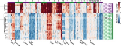 W020160301276442118505