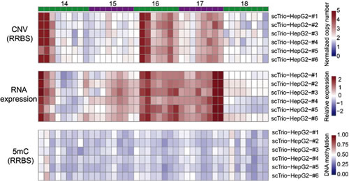 W020160301276442094622