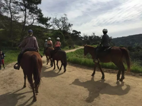 filehelper_1489026214743_45