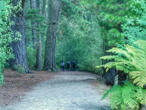 微信图片_20170420094448