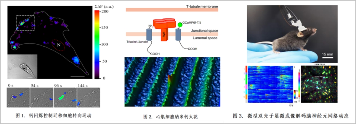 41022540502b45688074f61f70e105ca.jpg 640_wx_fmt=png&wxfrom=5&wx_lazy=1&wx_co=1.jpg