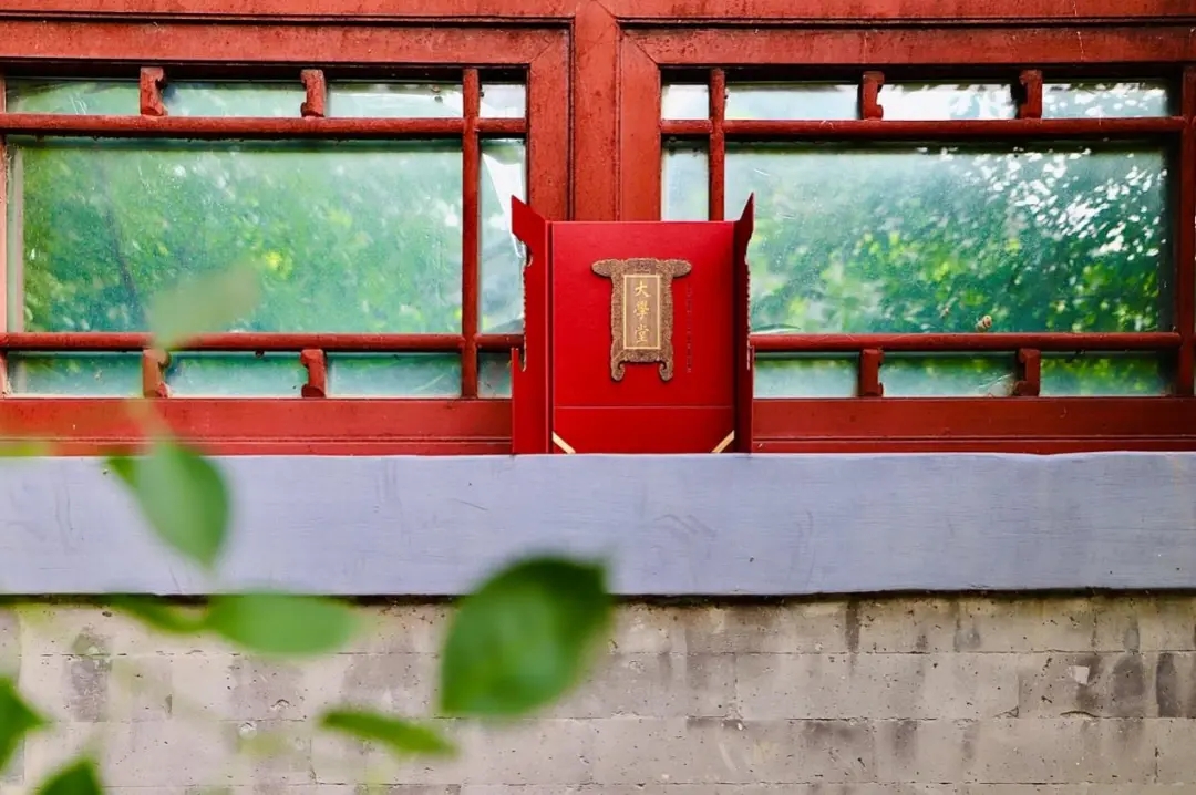 d382ca95119c4129b4a0b84e140a89f2.jpg 20200810_092934_022.jpg