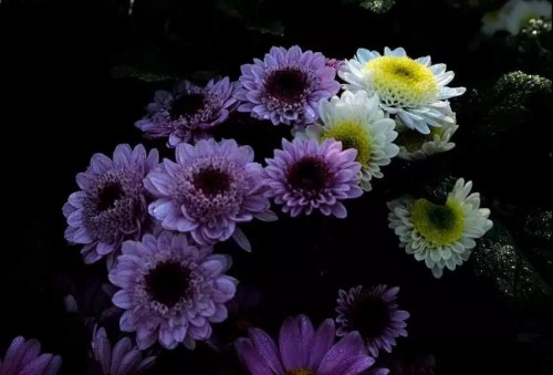 微信图片_20180129140109