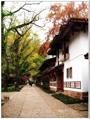 微信图片_20180121072318