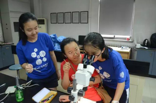 活动惠及7个学院、11个省市的30个校友家庭,长达7天的燕园生活,从入学到结业,营员完全享受北大在校生的食宿与课程服务。今日小小少年,心向北大生科!