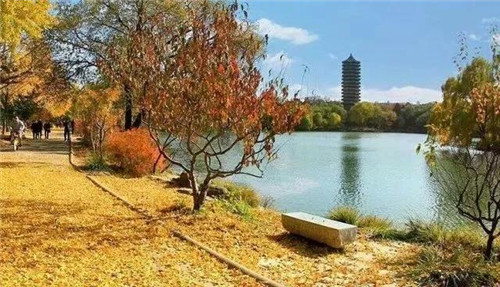 微信图片_20180103142030