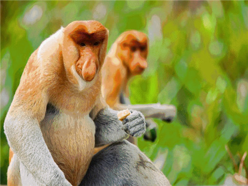 微信图片_20180103143721