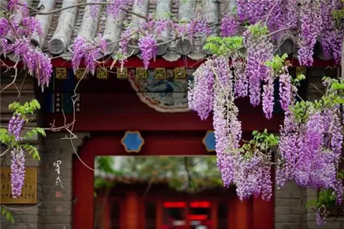 微信图片_20180119091510