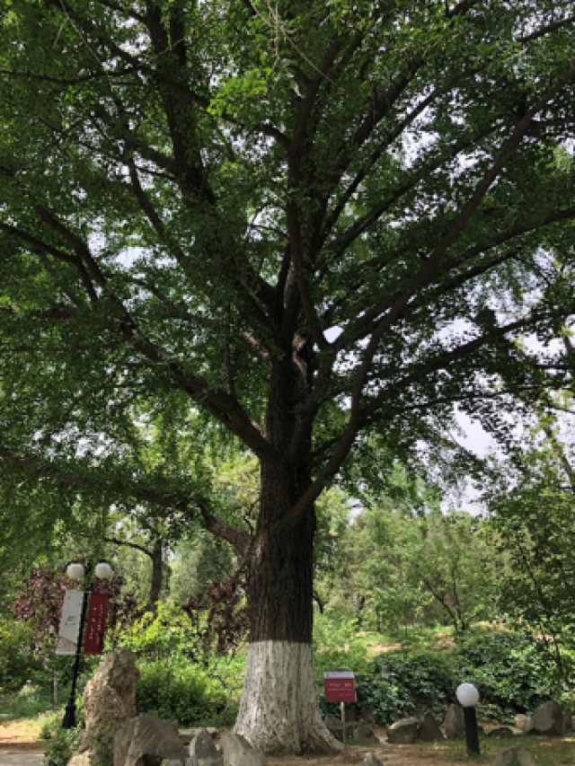 20180510152593407076907778.png 20180510152593407076907778.png