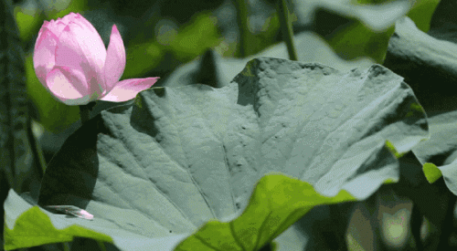 微信图片_20170619162958