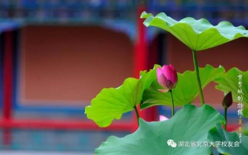 微信图片_20170619163003