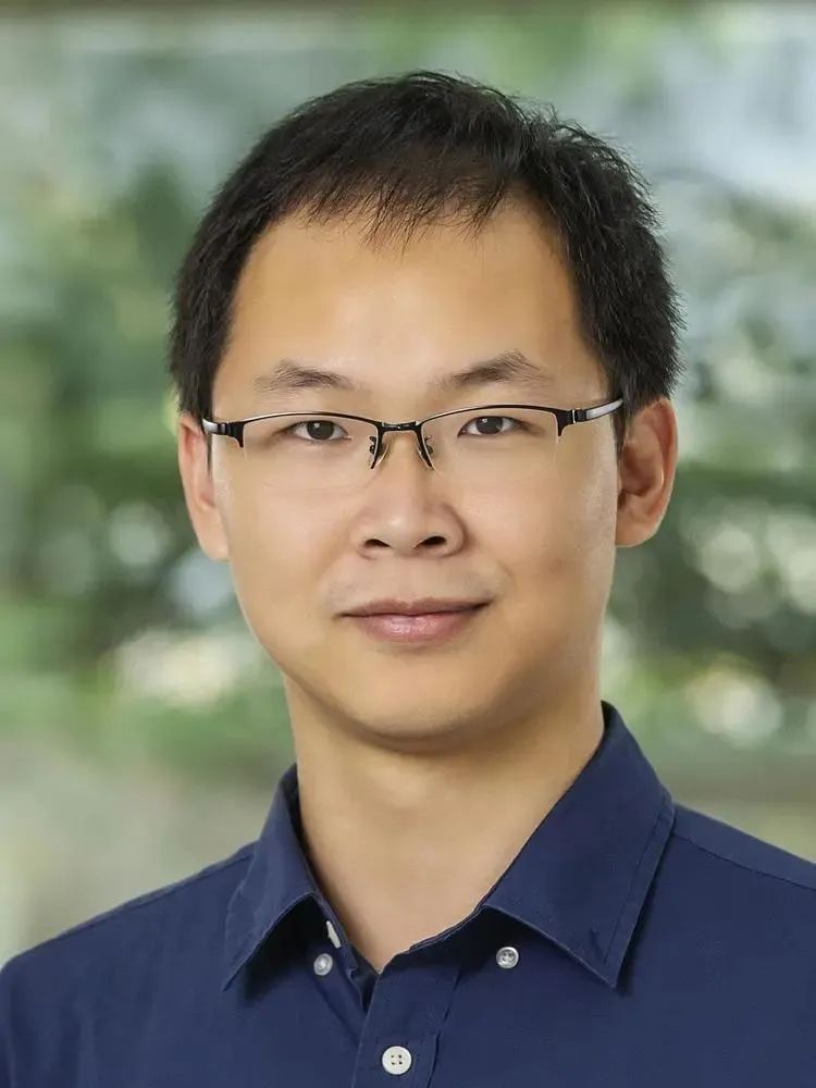 image7.jpeg image7.jpeg