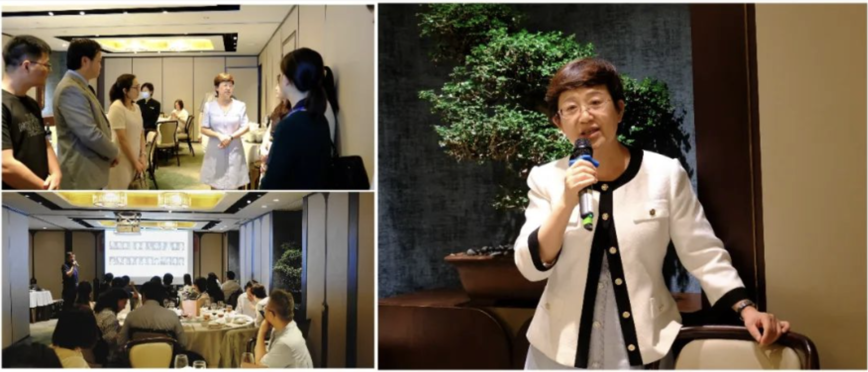 截屏2024-06-06 15.21.05