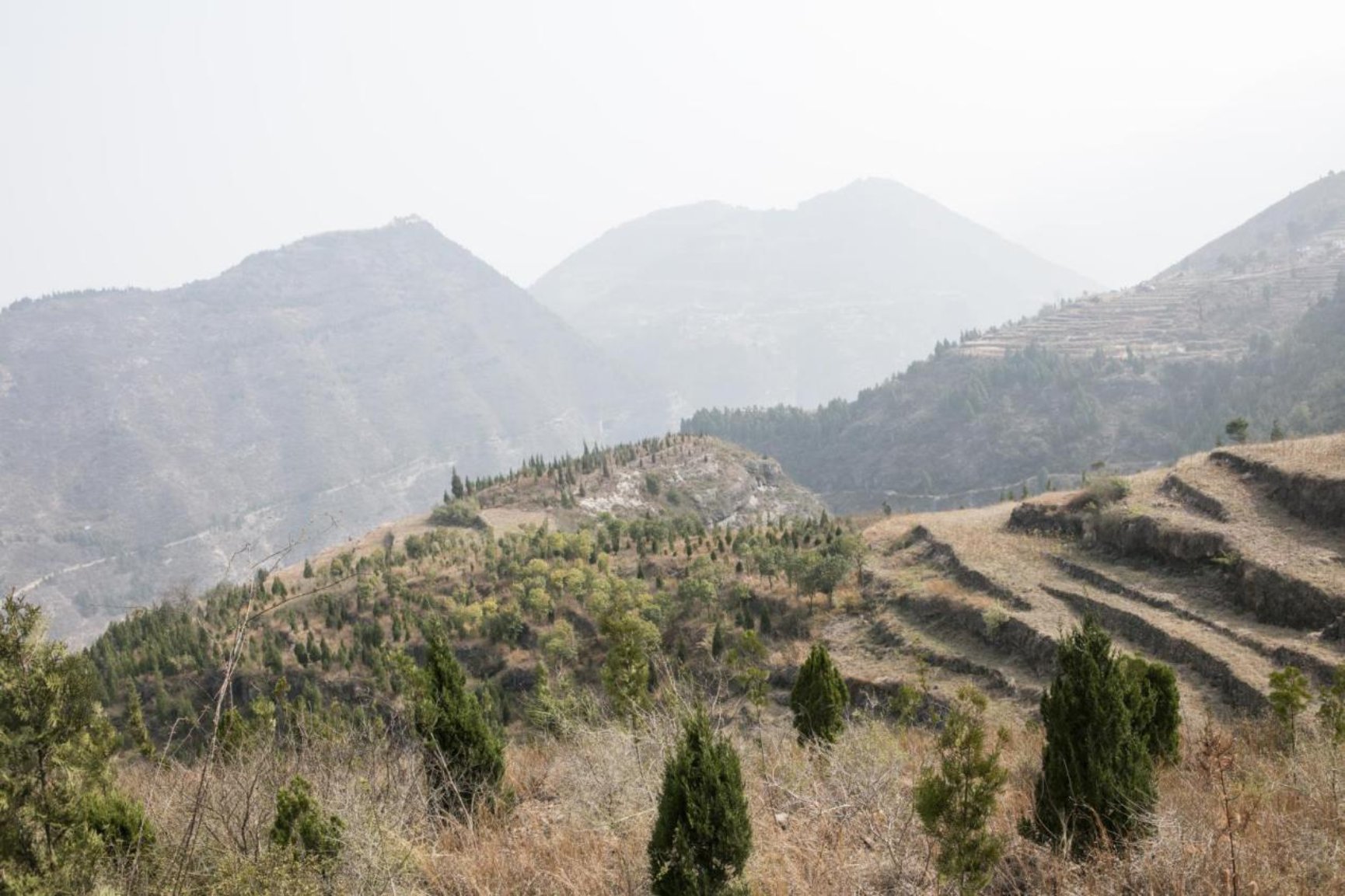 微信图片_20190313102359