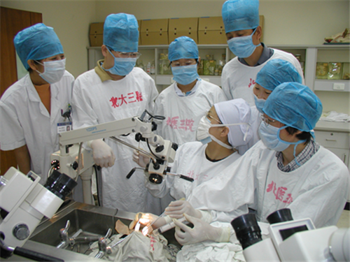 举办全国的颞骨学习班,为我国培养耳科人才