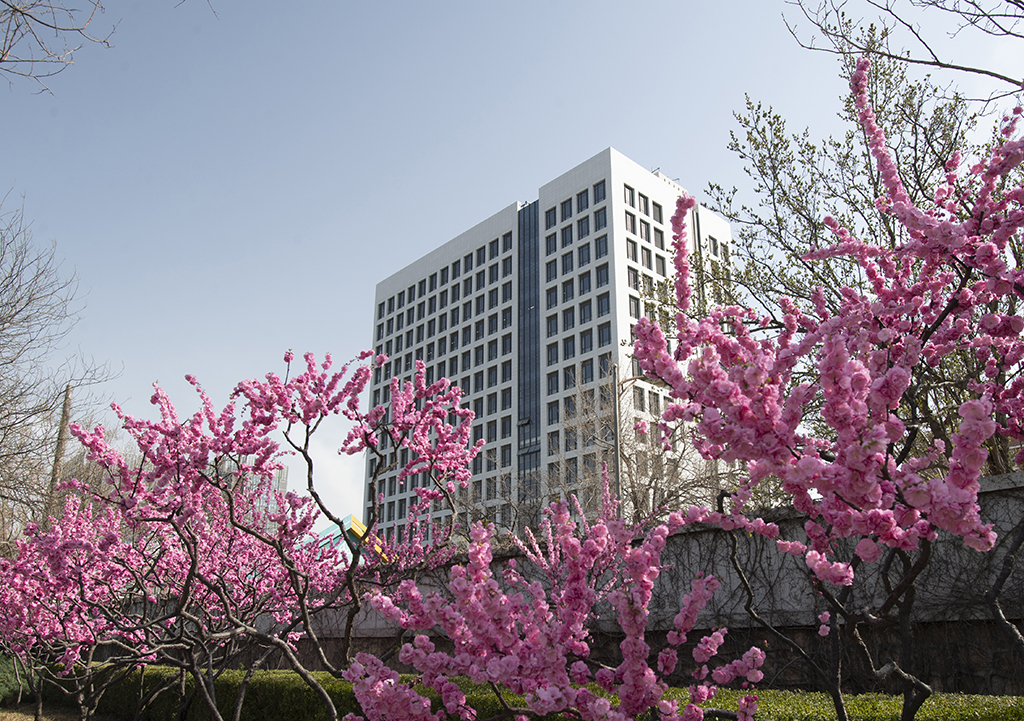 0cfdc37937344a2eb6e89df90e53d408.jpg 0cfdc37937344a2eb6e89df90e53d408.jpg